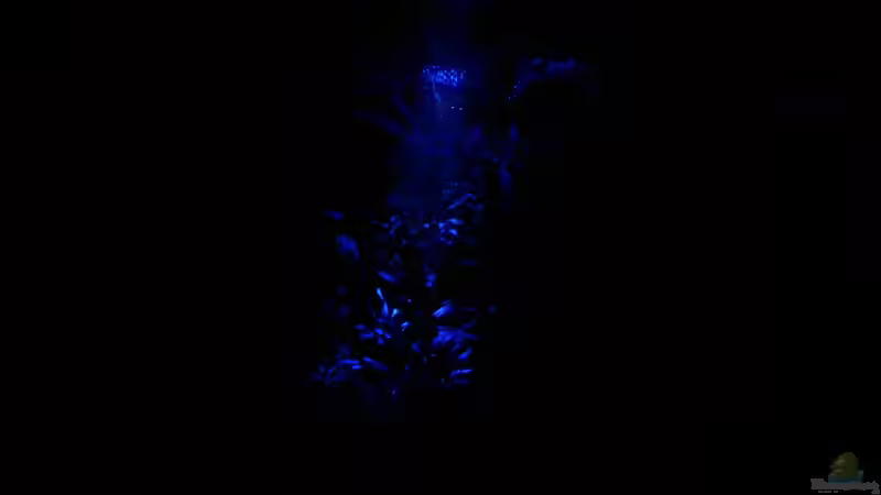 Chhrrrrrr Püüüüüüüüü... von El Hein (5)