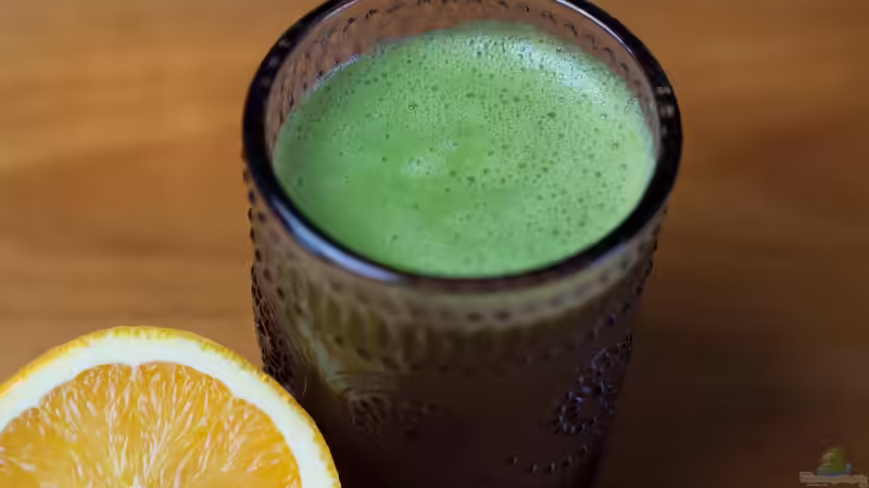 Chlorophyll und seine Wirkung: Auch im menschlichen Körper