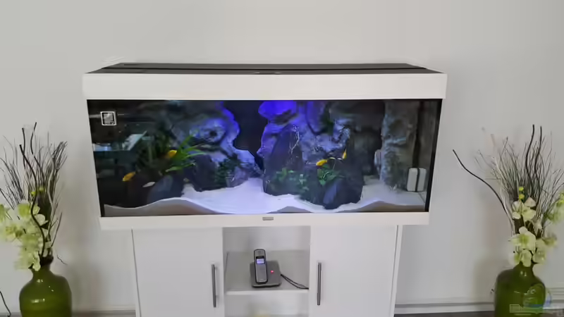 Chrilles 240Liter Malawisee von Chrille1904 (1)