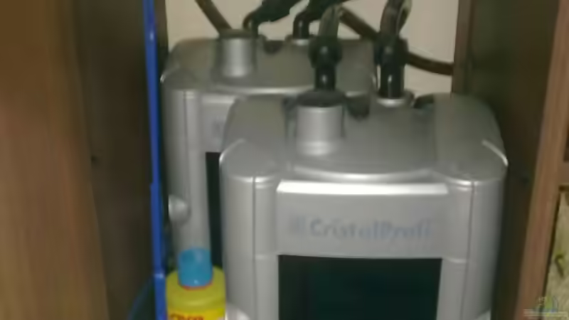 Christal 900 von Robert Verhülsdonk (14)