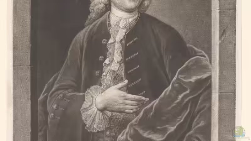 Christian Gottlieb Ludwig – Namensgeber der Ludwigia