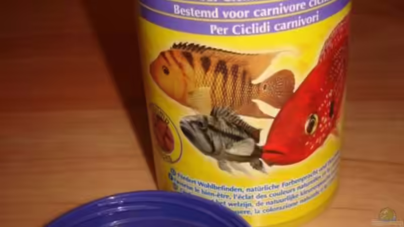 Cichliden Sticks von Lukas Szewczyk (16)