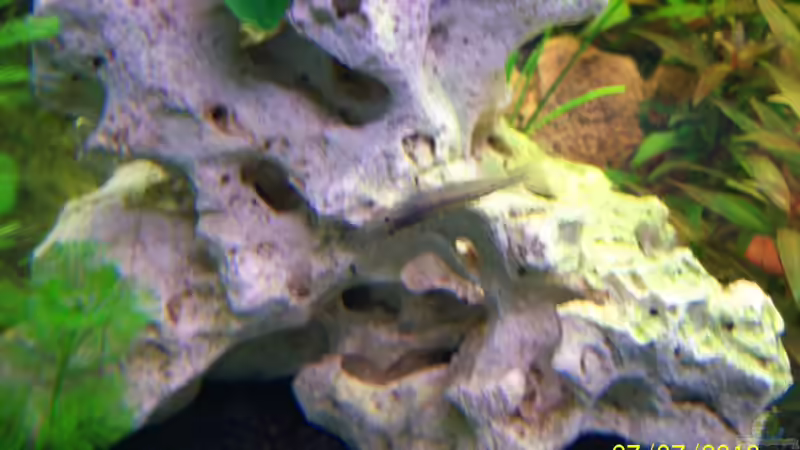 Cliffhanger von basshammer (4)