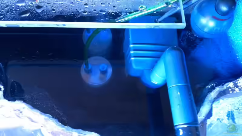 CO² + Pumpe + Heizer von raubsau (54)