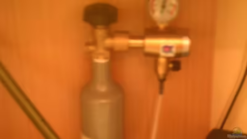 CO 2-anlage von Maximilian Zunhammer (7)