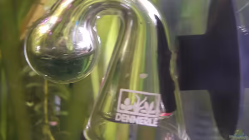 CO 2 Dauertest von Kathys 2014 (7)