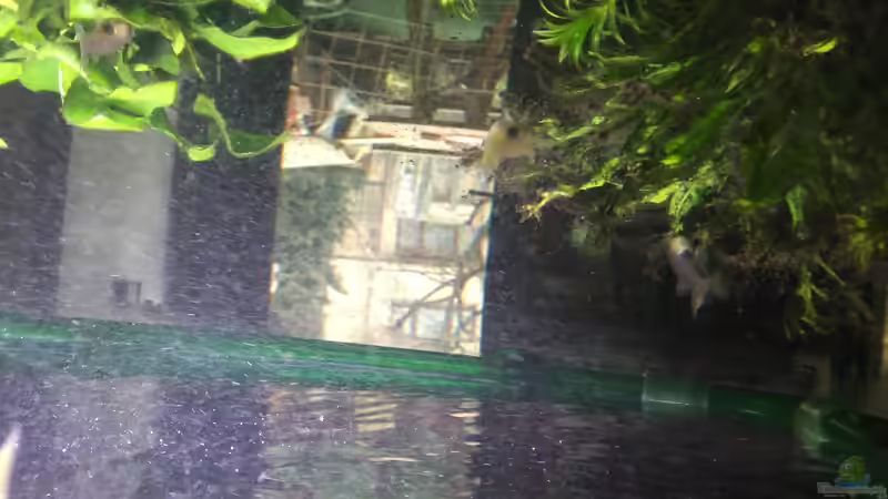 CO 2 Einschuss mit 2 Bar von Thomas Bachl (4)