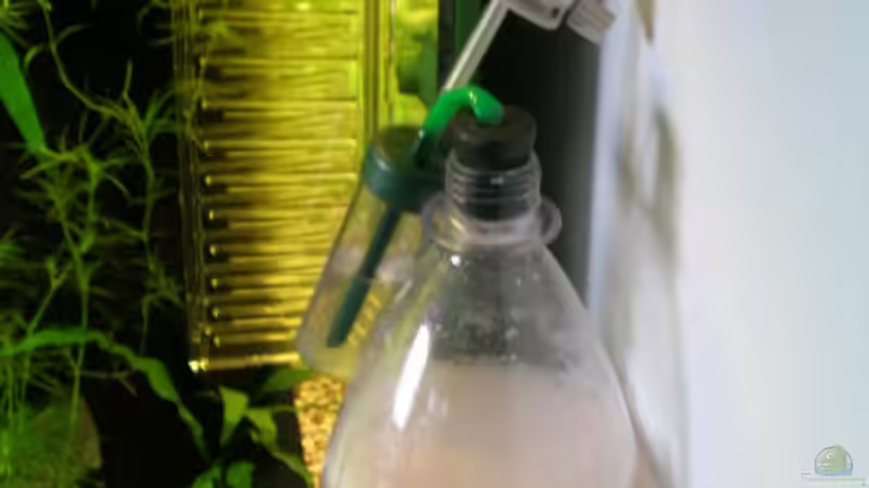 CO²-Anlage von Der Analyst (16)