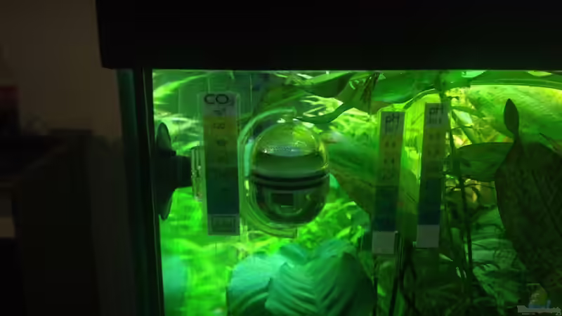 CO² Dauertest von Pflanzenbecken (22)