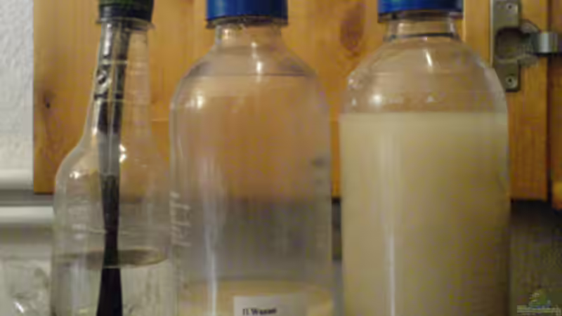 CO² doppelreaktor von NlLs M0nt (12)