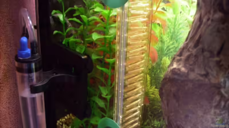 CO² Flipper + Blasenzähler von Thomas Gornioczek (13)