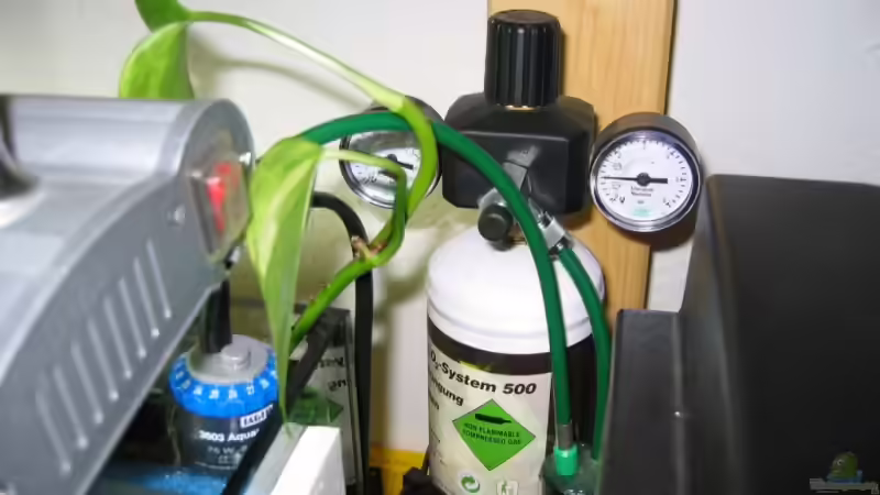 Co² über Lindenholzausströmer von Gerrit Buck (16)