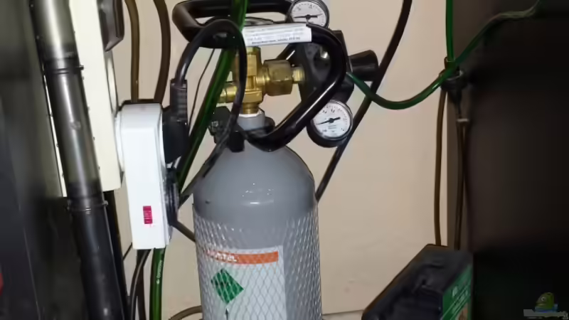 Co² von Mateusz (6)