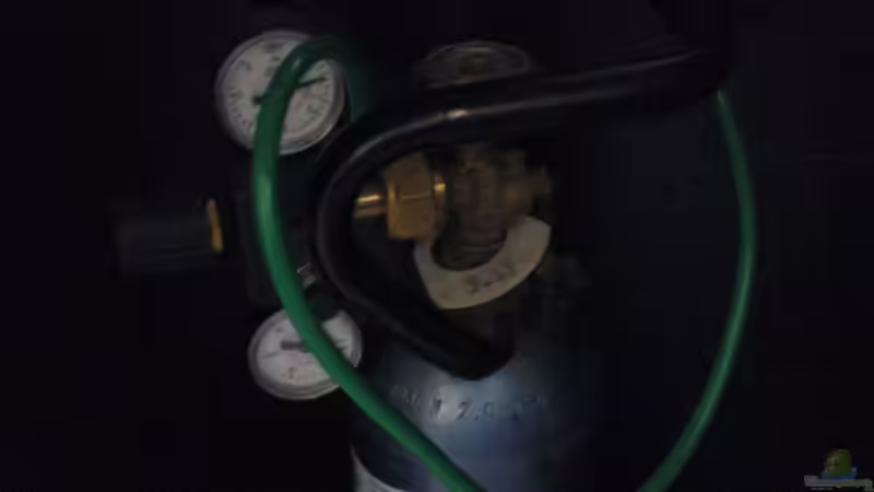 CO2- Anlage von Dennerle  von Maria Dicke (20)