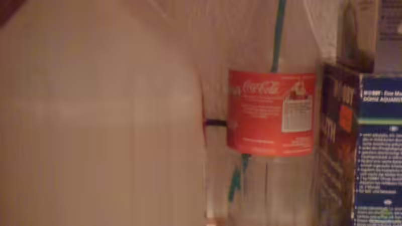 CO2, einfach, aber erfüllt den Zweck von Kuebiwhv (13)