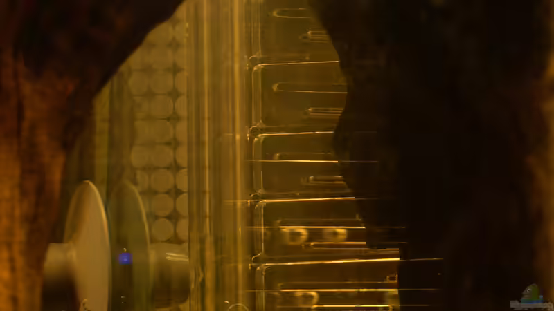 CO2- Flipper von @quarium Cologne (57)