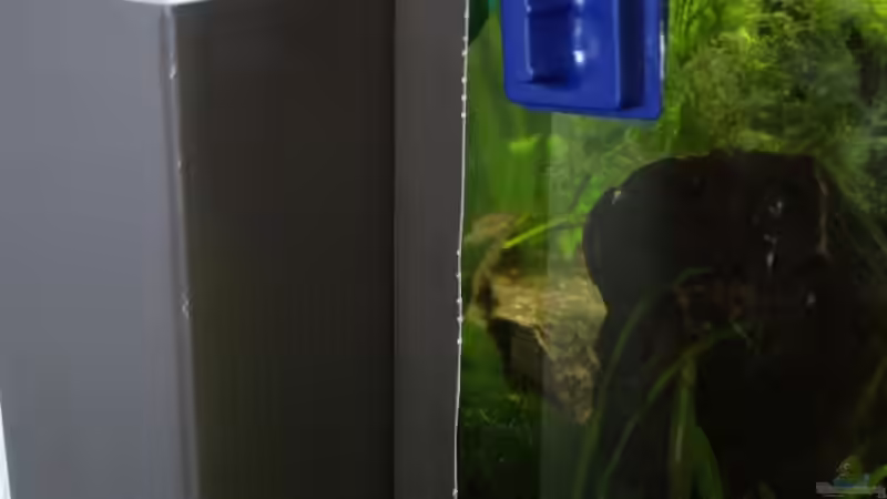 CO2; im Becken Filter und Heizung von Thomas Rengier (11)