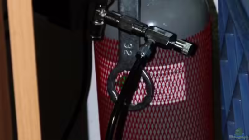 Co2: US Aquaristik von David B (31)