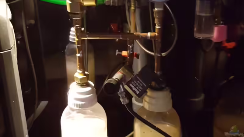 Co2  von Eisbaer (12)