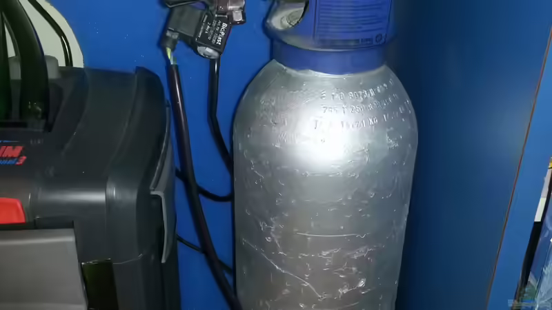 Co2 6kg Flasche von Der Dreiäugige Goldfisch (32)