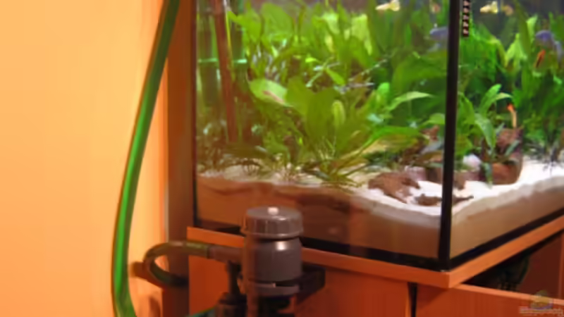 CO2-Aktiv-Aussenreaktor 3000 mit Bypass von Amazonas-live (22)