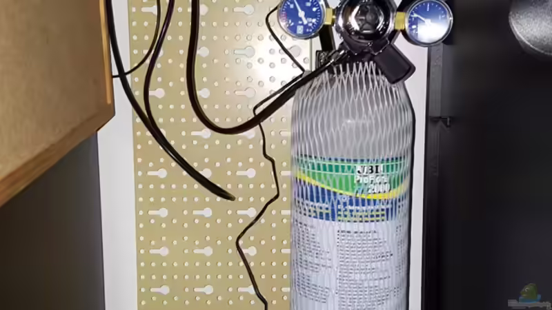 Co2 Anlage-JBL ProFlora m1003 von Johannes L. (35)