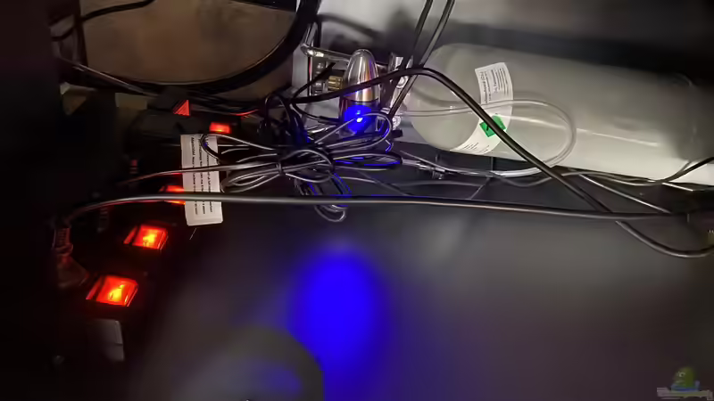 CO2 Anlage mit Ersatzflasche von Ottche (45)