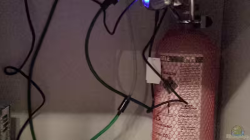 CO2-Anlage und Luftheber von Andy Weiss (27)