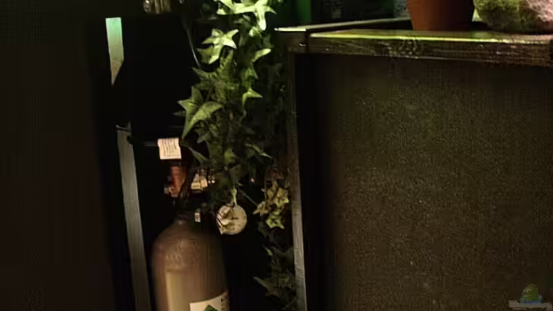 CO2 Anlage und Temperaturregler. von Grobi (26)