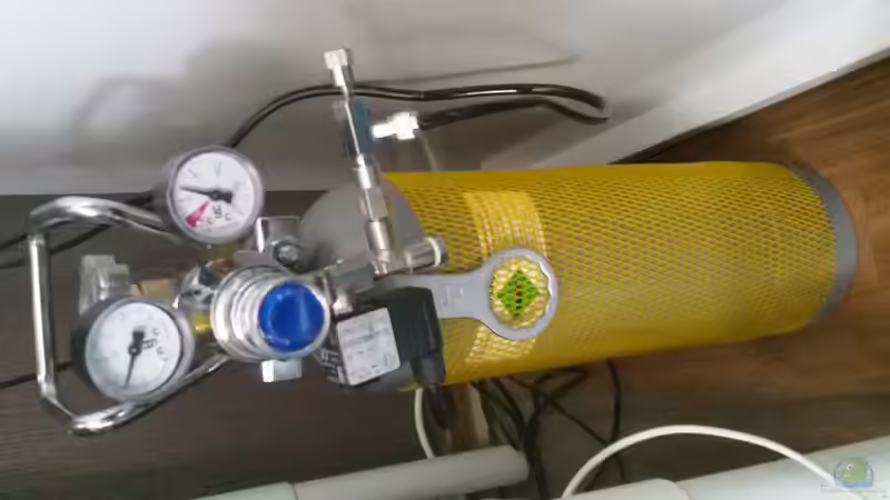 Co2 Anlage vo US-Aquaristik von Matthias Junge (4)