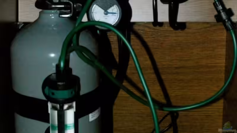 CO2 Anlage von Christian Klein (4)