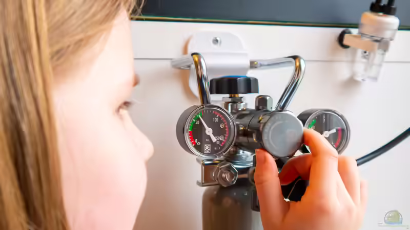 CO2 Anlage von DiskusMummy (24)