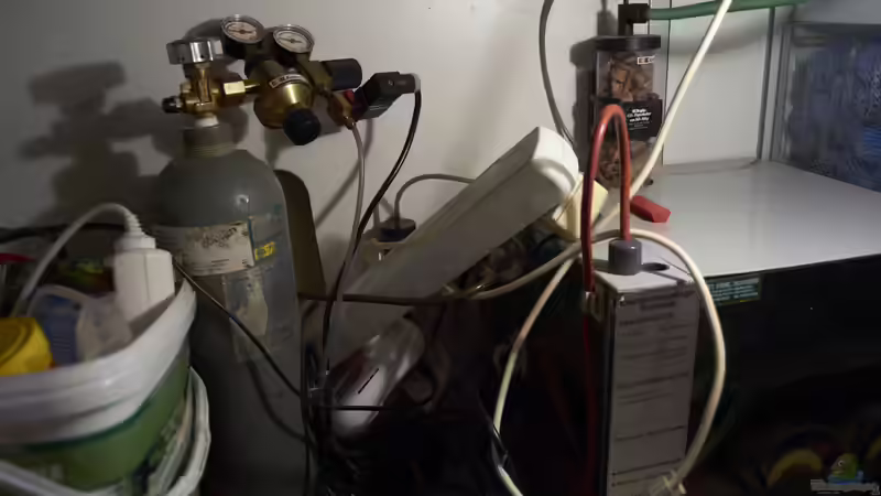 CO2-Anlage von Enrico Friedrich (19)