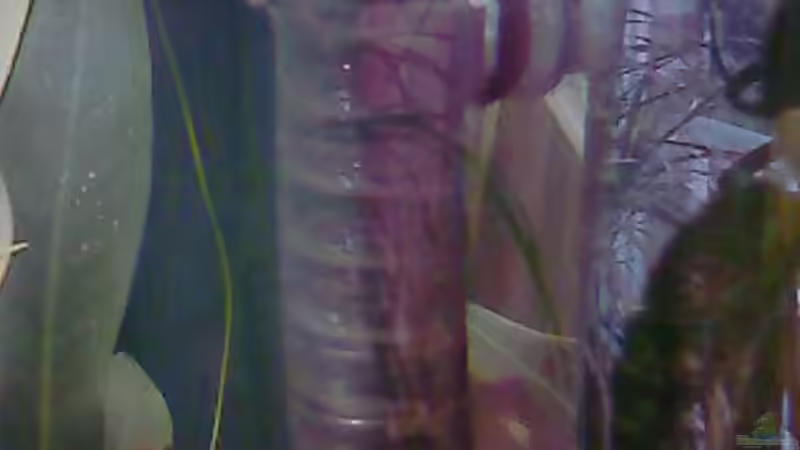 CO2-Anlage von Jessy L. (11)