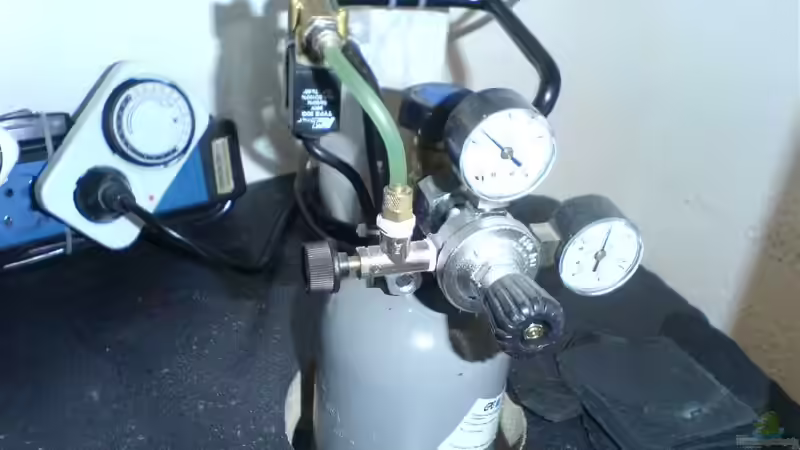 Co2 Anlage von Mario Max (8)