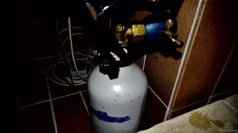 Co2 Anlage von snooze (77)