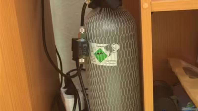 CO2-Anlage von Theresa Horak (11)