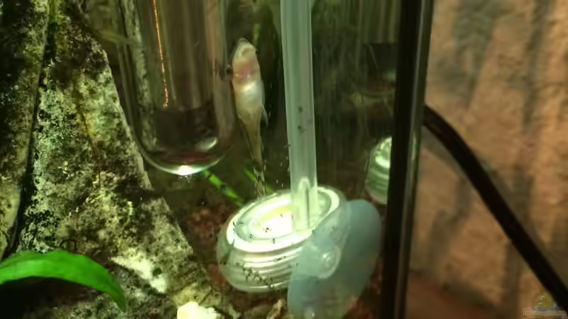 CO2-Anlage von X-Rayminator (11)