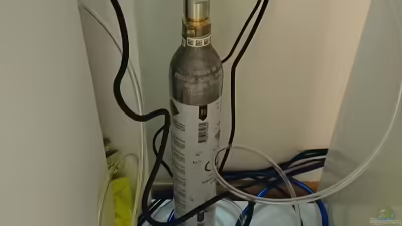 CO2 art mit Sodastream von ulli85 (20)