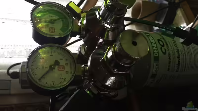 Co2 bis 6 Bar von Thomas Bachl (6)