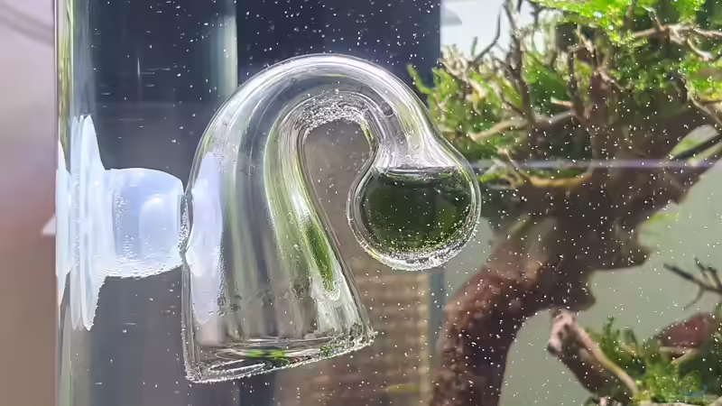 CO2 Dauertest - 30 mg/L Lösung von Marco B. (28)