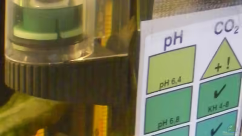 CO2 Dauertest mit Skala (bis ich es auch ohne kann) von Krätzchen (19)