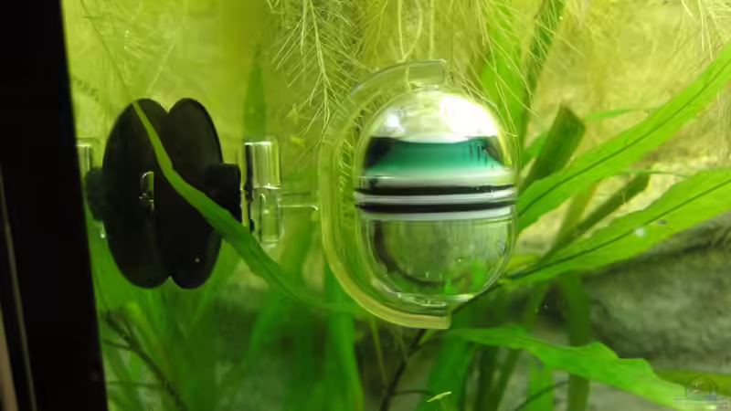 CO2 Dauertest von Franz Wüest (17)