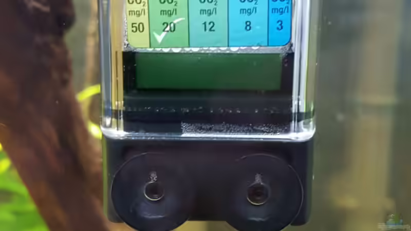 Co2-Dauertest von Johannes L. (38)