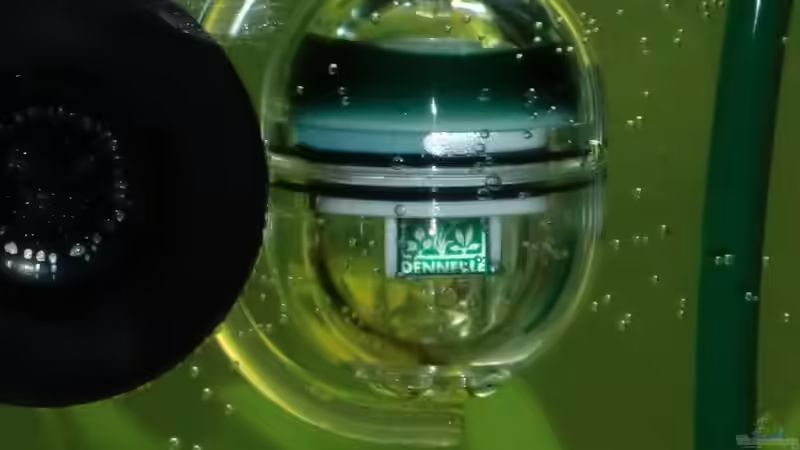 CO2 Dauertest von Sirko Fricke (41)