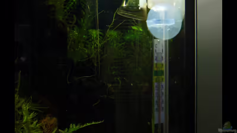 CO2 Dauertest von Stefan Philippi (13)