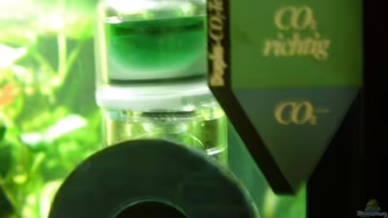 CO2 Dauertest von Wels-fan (39)