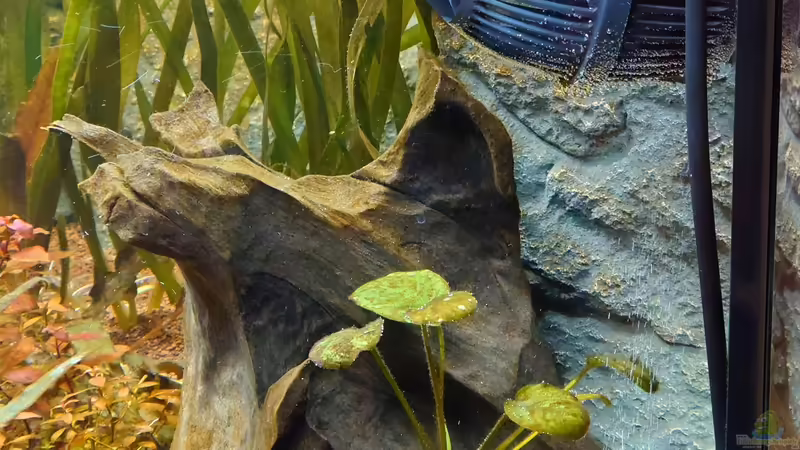 CO2 Diffusor und Strömungspumpe von Stefan von Oettingen (23)