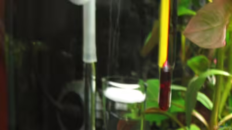 CO2 Diffusor von Frank Wintermann (8)