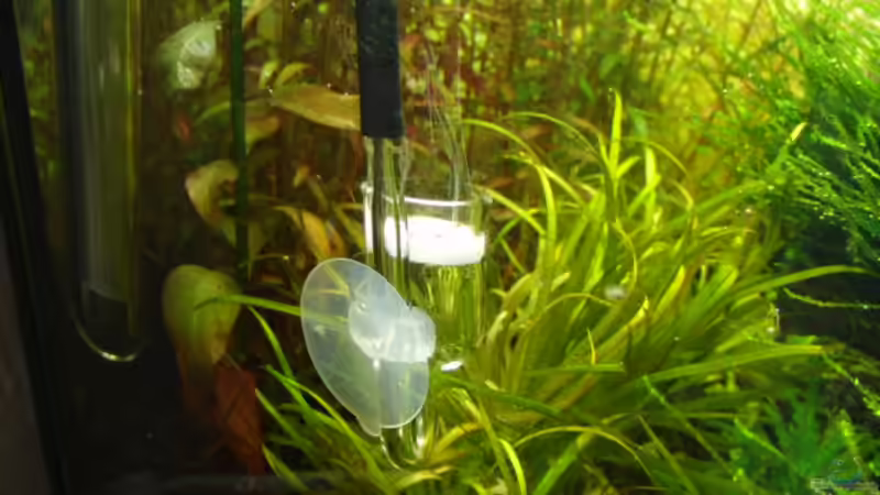 CO2 Diffusor von Microsash (9)